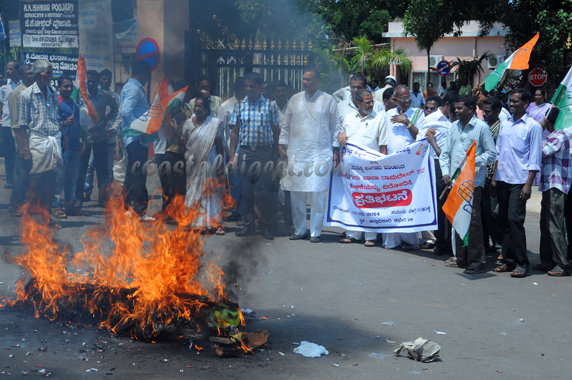 Ramdev_Protest_3