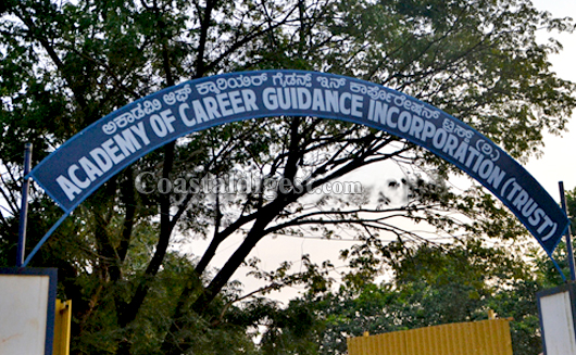 career guidence cheat