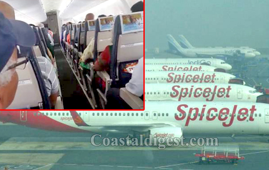 spicejet