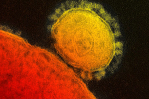 MERSVirus