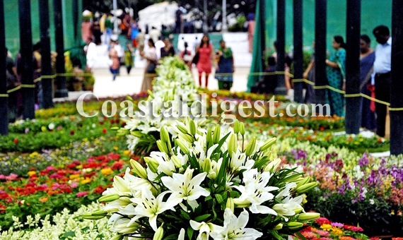 Lalbagh_Flower_Show8