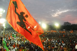 vhp ramotsav