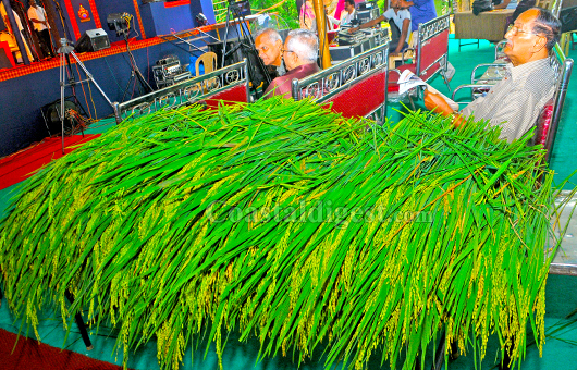 Mangalore Ganeshostsava 3