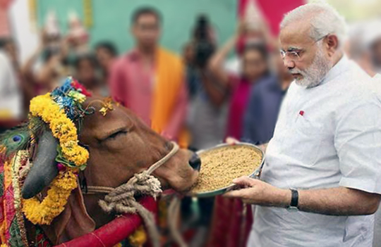 cowmodi 1