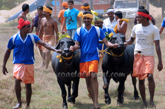 Kambala ban
