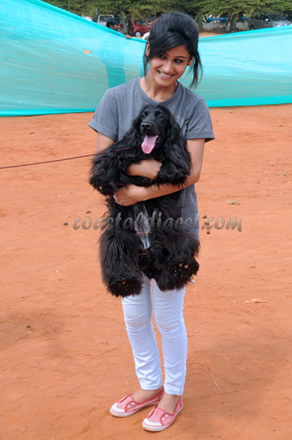 Dog_show_16_10