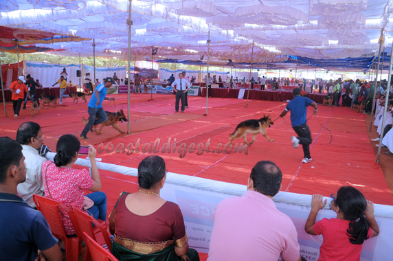 Dog_show_16_2