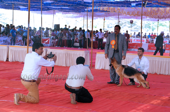 Dog_show_16_7