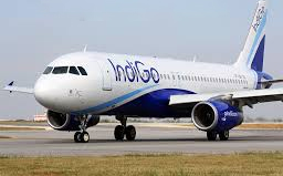 Indigo