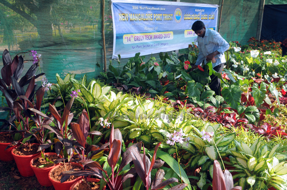 Kadri_flower_show_13_3