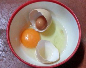 egg1