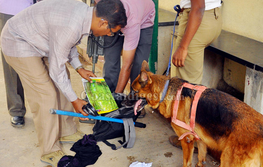 Blore gilatin blast 2 1