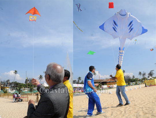 kites 8