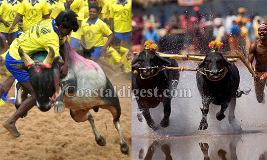 kambaljallikattu