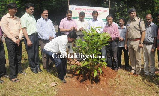 vanamahothsava   25 1