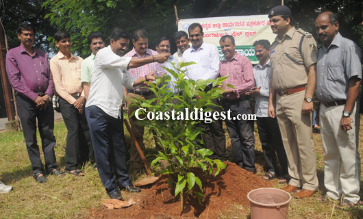 vanamahothsava   25 1