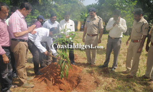 vanamahothsava   25 1