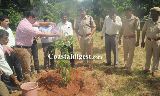 vanamahothsava   25 1