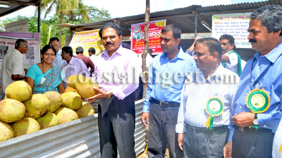 Jack_Fruit_Mela1_12