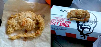 KFC fried rat