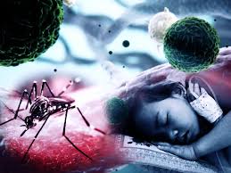 dengue