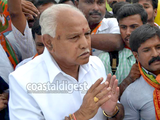 yeddy