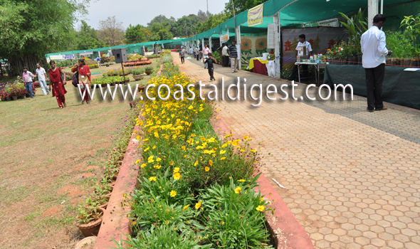 Fruit_and_flower_exhibition__10