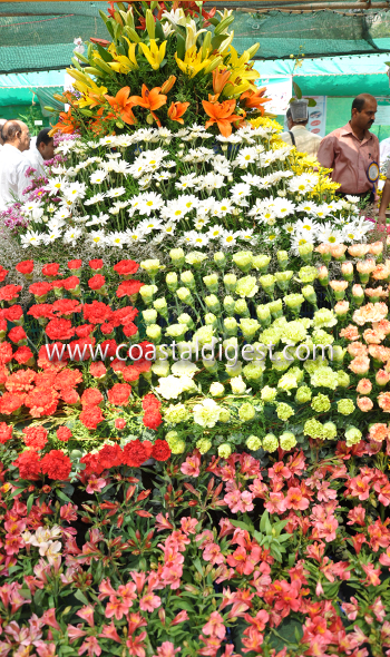 Fruit_and_flower_exhibition__11