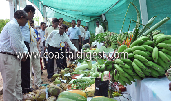 Fruit_and_flower_exhibition__16