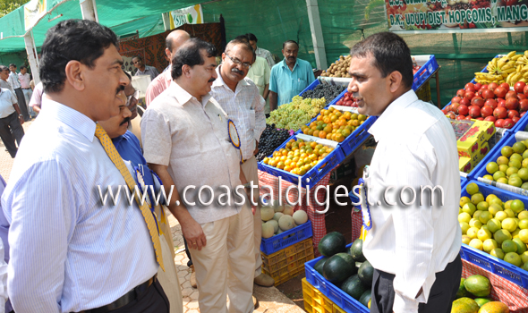 Fruit_and_flower_exhibition__17