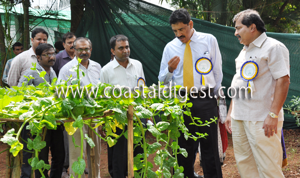 Fruit_and_flower_exhibition__20