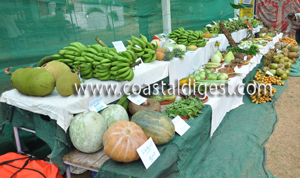 Fruit_and_flower_exhibition__8