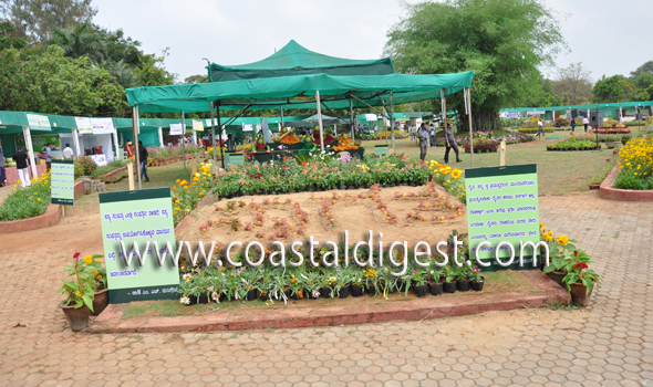 Fruit_and_flower_exhibition__9