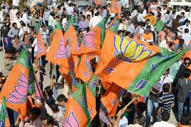 BJP_survey