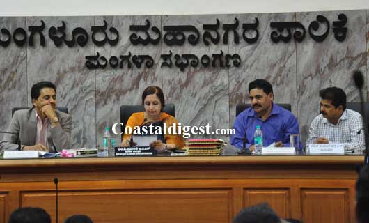 MCC_election_13_12_copy