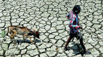 drought-hit