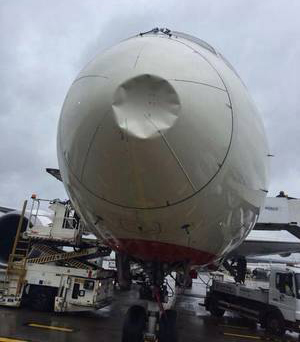 Bird hit
