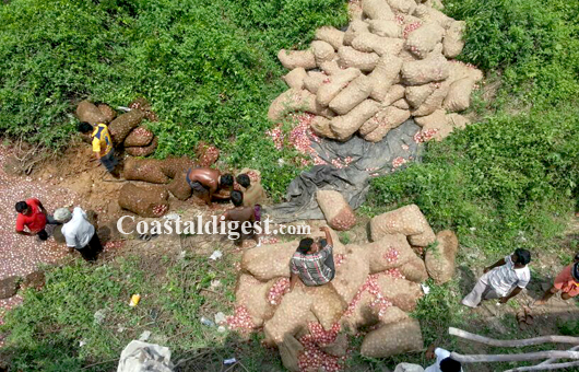 Kuloor Lorry accident 3