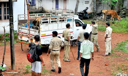 Ullal  Raid 2