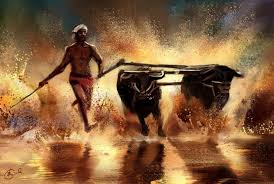 No Kambala this year in Tulu Nadu!  - The Trusted News  Portal of India