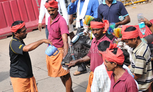 kambala protest rally 29 1