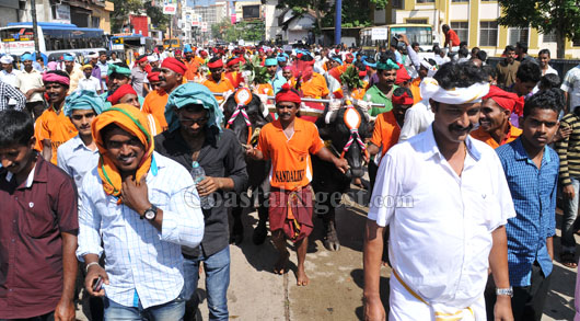 kambala protest rally 29 1