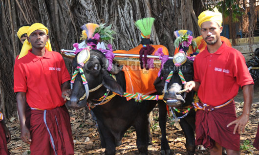 kambala protest rally 29 1