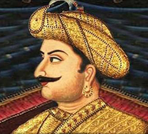 tipu