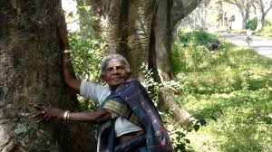 1thimmakka