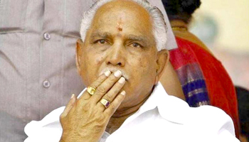 yeddy