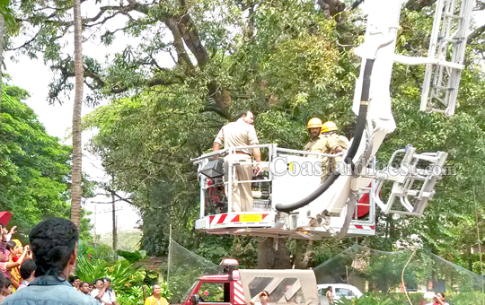 Mock Drill Disaster 6