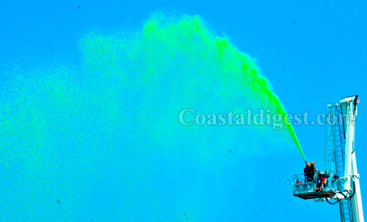 Rajothsava Mangalore 14