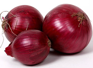 onion-07