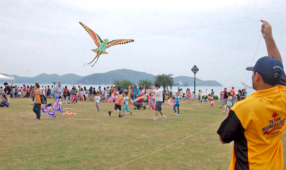 Hong_Kong_Kites__13